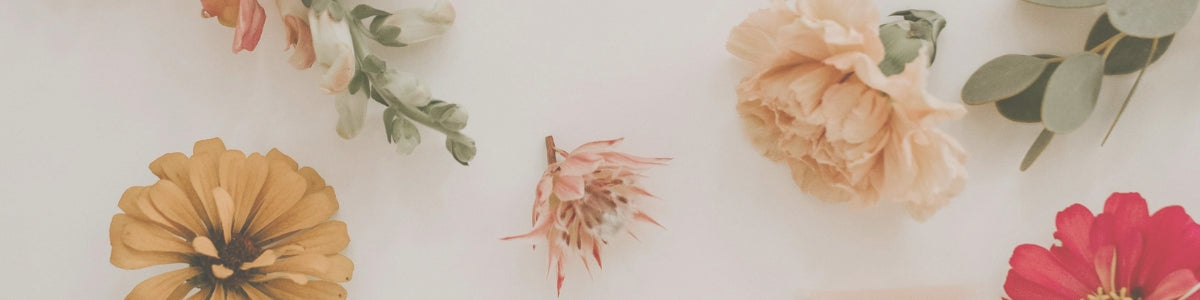 Dahlia Floral collection