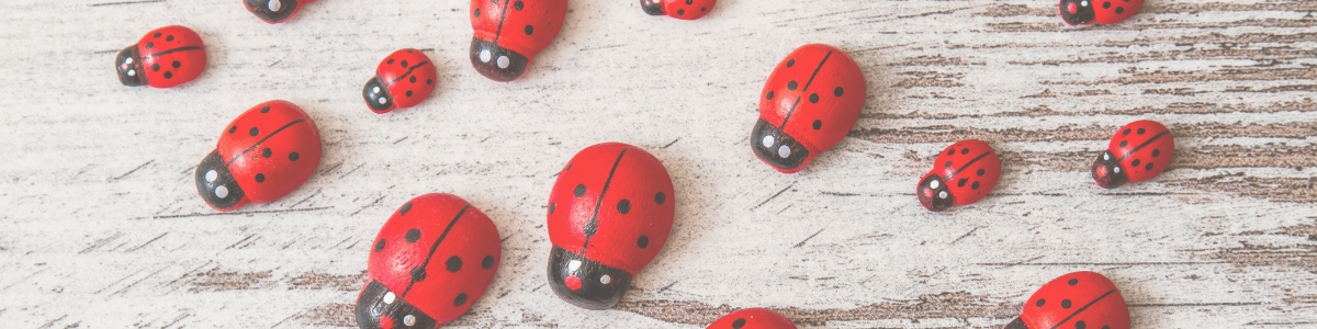 cute crawlies collection banner with lady bugs